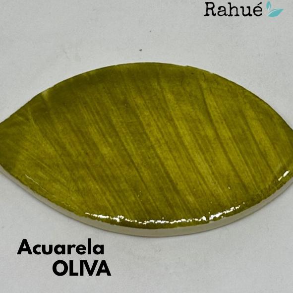 Caja de 12 Acuarelas Cerámicas Rahué: listos para usar (CAJA ROJA) - Imagen 8